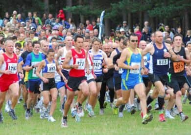 Sherwood Pines