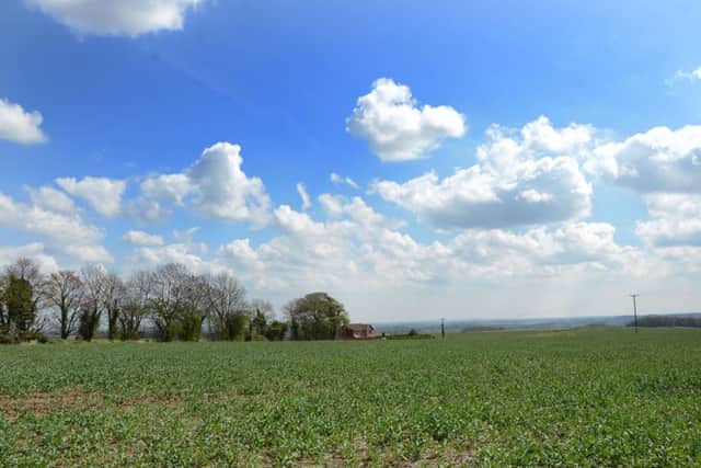 Greenland on Swinston Hill Road in Dinnington G130502-1b