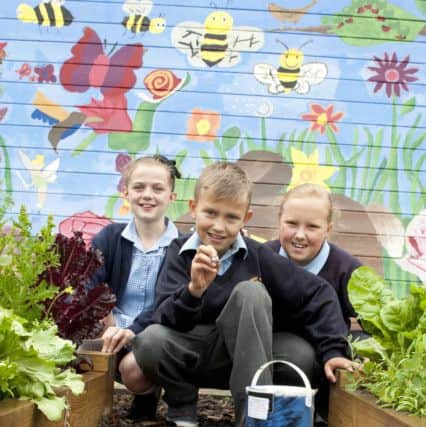 Mattersay Primary pupils with the eco garden mural painted by students from the Elizabethan Academy as part of the community cohersion programme