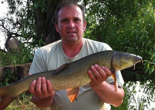 Weir Field is full of barbel like this one, caught by Stewart Goulding