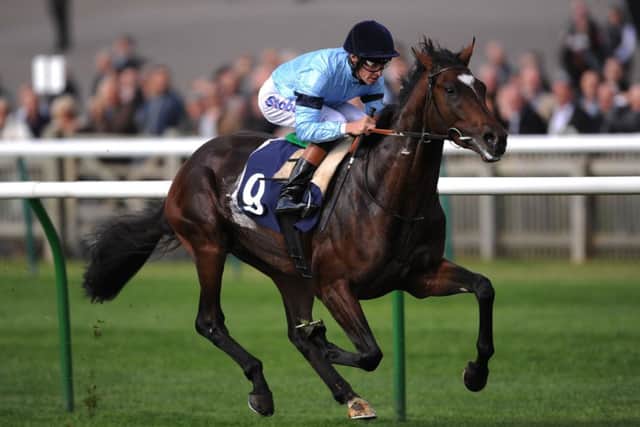 File photo dated 27/09/2012 of Telescope ridden by Richard Hughes. PRESS ASSOCIAION Photo. Issue date: Thursday May 23, 2013. Telescope has a sore left shin and is unlikely to run in the Investec Derby at Epsom on June 1, said trainer Sir Michael Stoute. See PA story RACING Telescope. Photo credit should read: Nigel French/PA Wire.