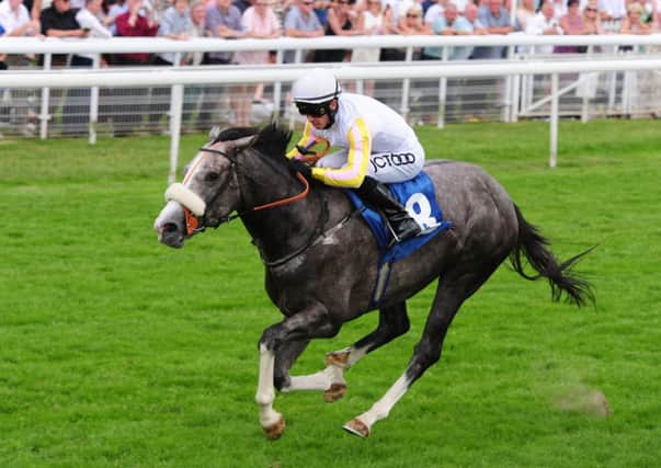 The Grey Gatsby ridden by Graham Lee wins the John Smith's Median Auction Stakes during the 2013 John Smith's Cup Meeting at York Racecourse, York. PRESS ASSOCIATION Photo. Picture date: Saturday July 13, 2013. See PA story RACING York. Photo credit should read: Anna Gowthorpe/PA Wire.