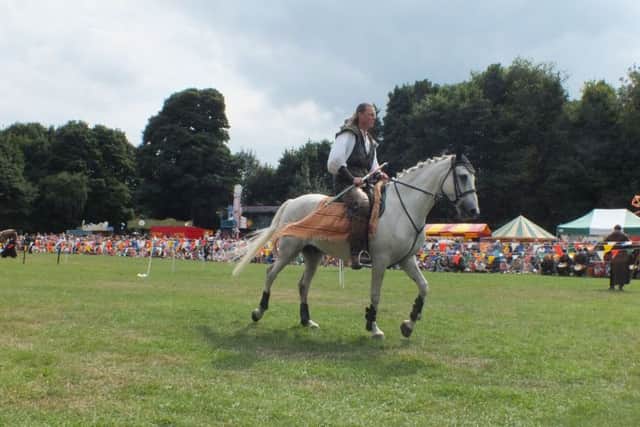 Robin Hood Festival 2013