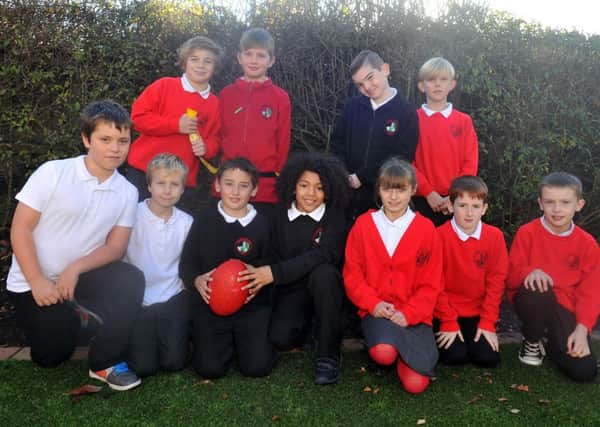 Parish School sports teams have won awards, pictured are the tag rugby team (w131119-2c)