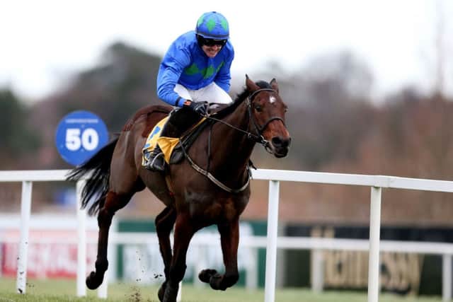 FLYING HOME -- the brilliant Hurricane Fly wins the Ryanair Hurdle at Leopardstown last Sunday for his record-breaking 18th Grade One success (PHOTO BY: Brian Lawless/PA Wire)