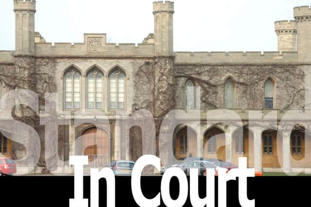 Standard In Court Logo