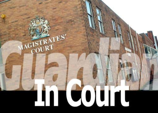 Guardian in court logo