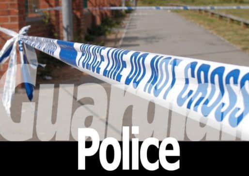 Guardian Police logo