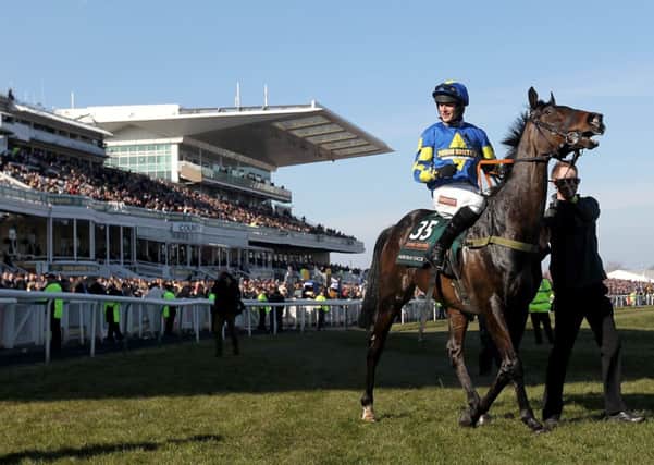 NATIONAL HEROES -- Aurora's Encore and jockey Ryan Mania after their victory in last year's Grand National (PHOTO BY: David Davies/PA Wire)