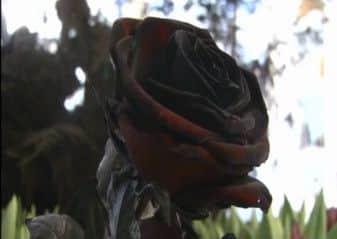 BLACK FLOWERS LEND A NOIR TOUCH TO VALENTINE'S DAY