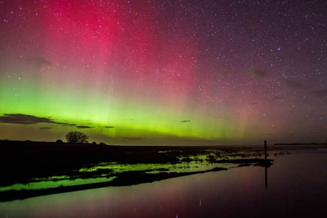 The Northern Lights at Holy Island by Jane Coltman