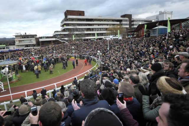 FESTIVAL FEVER -- the crowds at Cheltenham welcome HURRICANE FLY back to the winner's enclosure after he had won last year's Champion Hurdle (PHOTO BY: Tim Ireland/PA Wire)