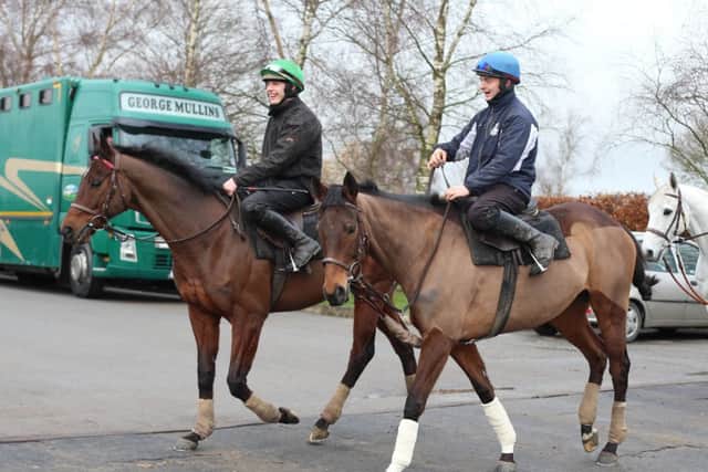 SUPERSTARS BIDDING TO CREATE HISTORY -- the Willie Mullins-trained duo, Hurricane Fly and Quevega, at their stable in County Carlow, Ireland (PHOTO BY: Niall Carson/PA Wire)