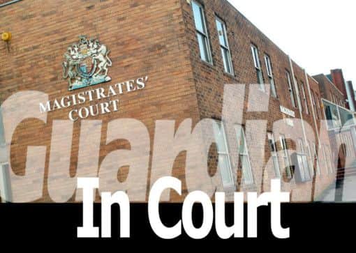 Guardian in court logo