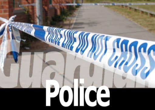 Guardian Police logo
