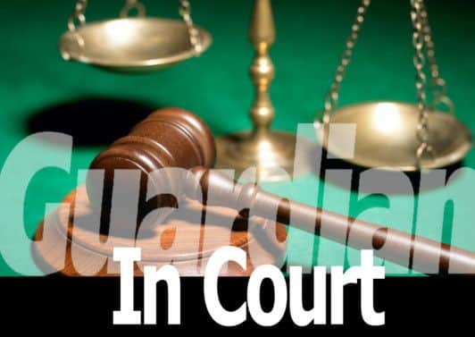 Guardian in court logo
