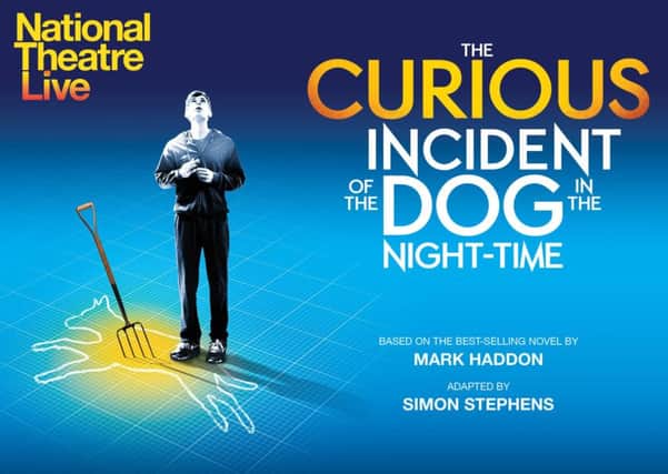Curious Incident of the Dog in the Night Time