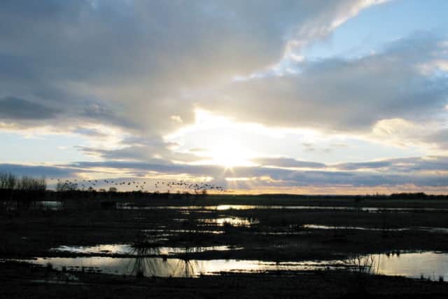 Hatfield Moor. Picture: Steve Routledge
