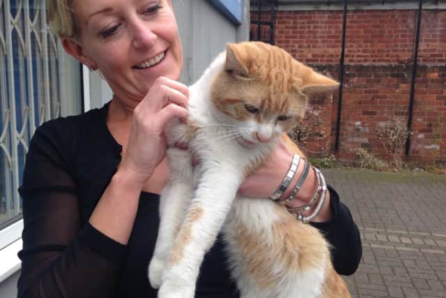 Motors Manager Marianne with Fred the cat