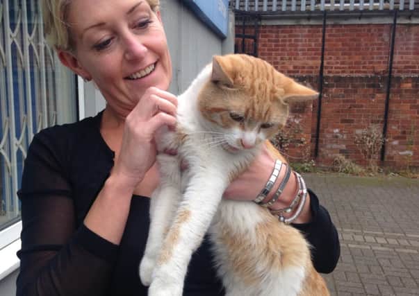 Motors Manager Marianne with Fred the cat
