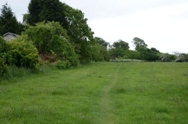 A campaign has been launched to get footpaths on land behind Birkdale Avenue in Dinnington legally reigstered so the land can't be developed on G130612-1b