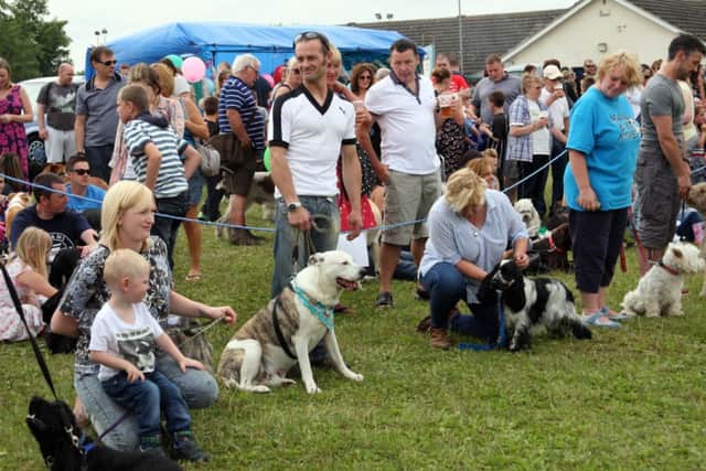 Waiting for the judges in the best condition class.