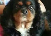 Have you seen Jacko?