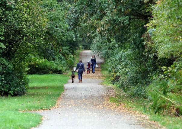 Seasonal canine illness warning signs in Clumber Park, dog walkers in the park (w131009-1c)