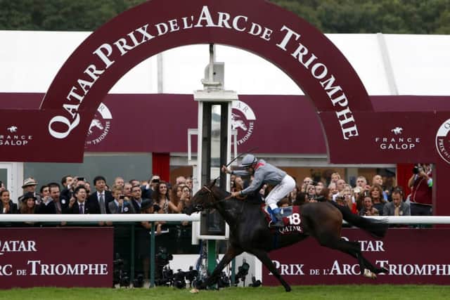 DEJA VU -- Treve, who won the Qatar Prix de l'Arc de Triomphe at Longchamp yesterday for the second year running. (PHOTO BY: Francois Mori)