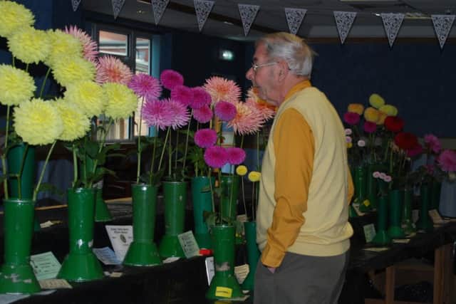 An entrant checks his floral exhibits at the Misterton Horticultural show