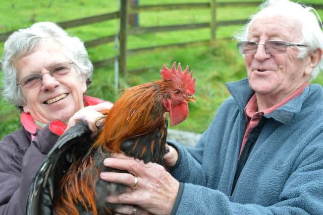 Eyam, controversial cockerel, Phillip and Caroline Sutcliffe