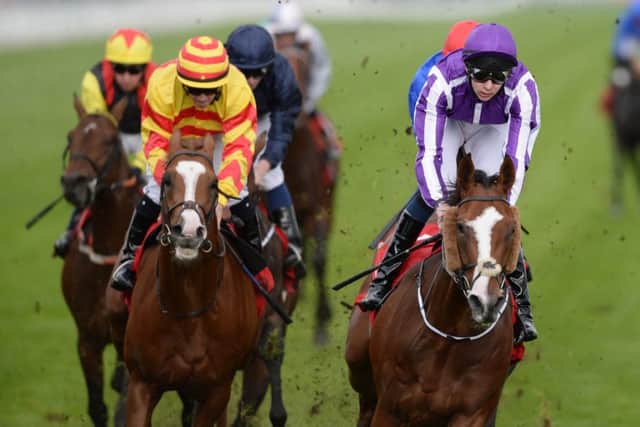 CHECK out today's Tip Of The Day (PHOTO BY: John Giles/PA Wire)