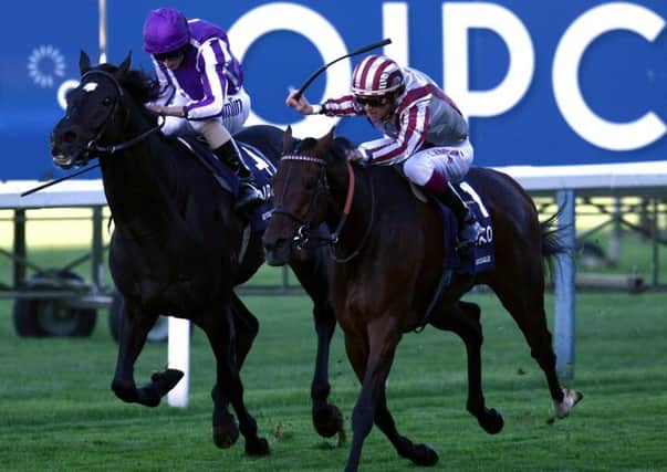 FRENCH LEGEND -- globetrotting eight-year-old Cirrus Des Aigles is back for another crack at the Champion Stakes after winning it in 2011 and finishing second in 2012 and 2013 (PHOTO BY: Steve Parsons/PA Wire).