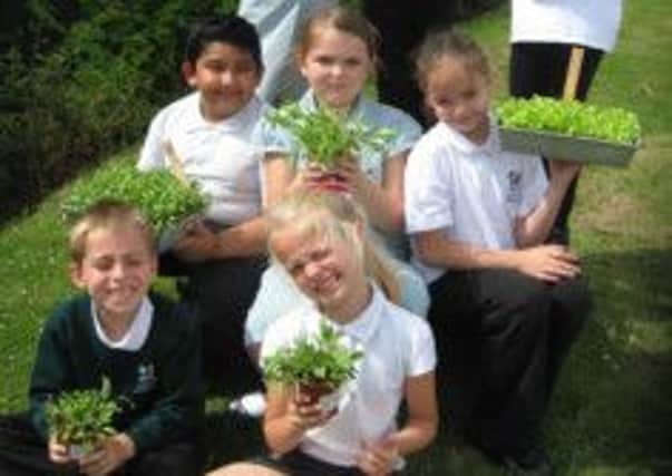 Pupils from Ryton Park school in Worksop featured in The Sun newspaper for their effforts in a national salad growing initiative