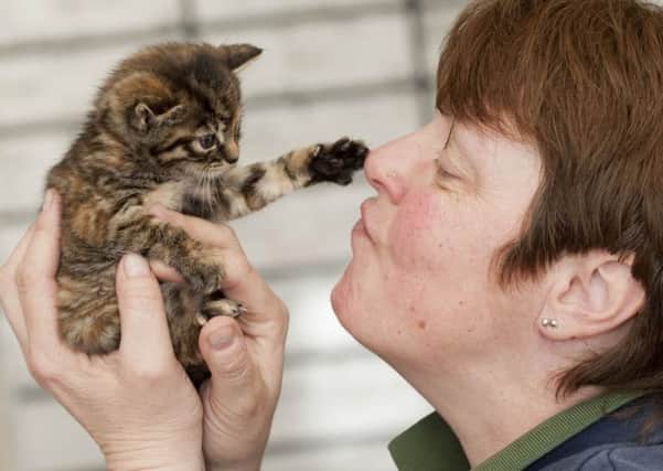 Julie Brown of Thornberry Animal Sanctuary, North Anston with abandoned kitten Myrtle which had been disowned by its mother
