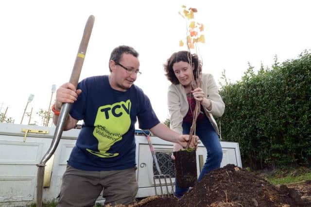 The Conservation Volunteers tree planting.