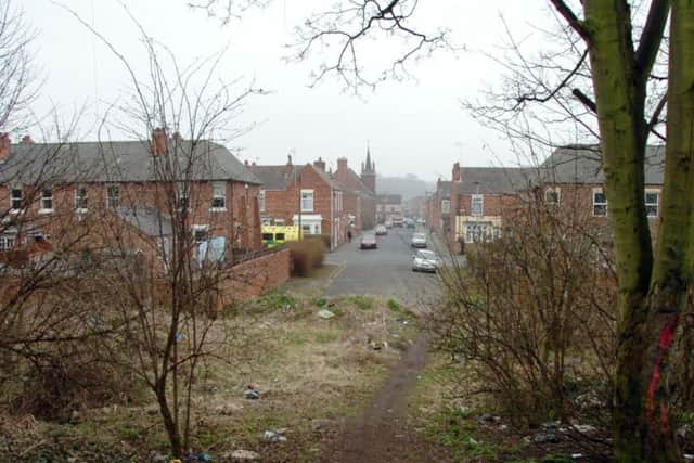 Mercer Wood
