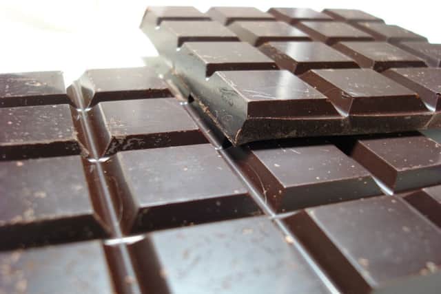 Chocolate is one of the foods that shouldn't be given to dogs