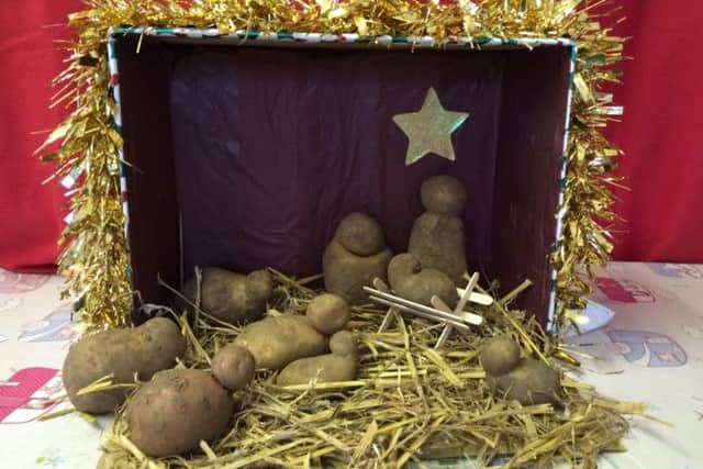 Potato nativity by Williamsons Farm
