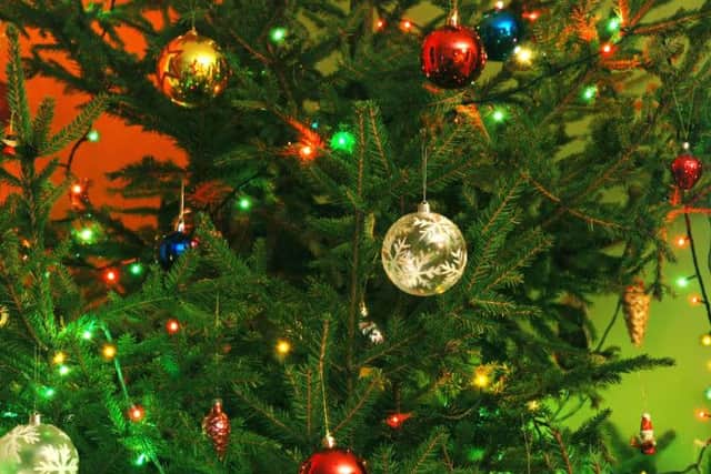 Christmas tree.