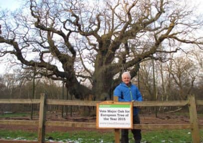 Tree hunter Rob McBride with the Major Oak