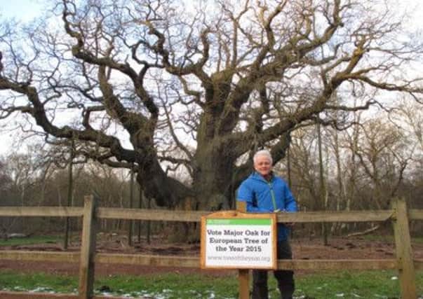 Tree hunter Rob McBride  with the Major Oak