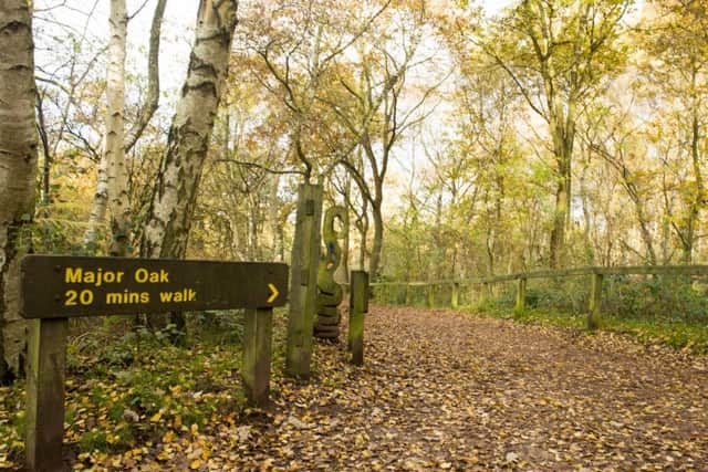 The festival is at Sherwood Forest at the end of August