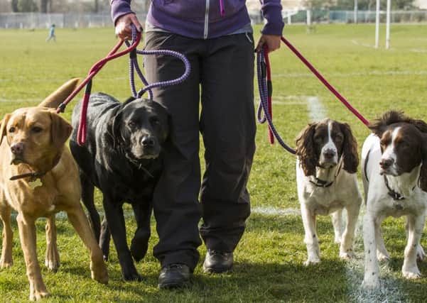 Dog owners are urged to take precautions