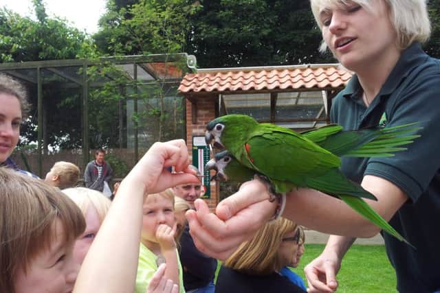 Jayne Grayson's family visit the Tropical Butterfly House in North Anston
