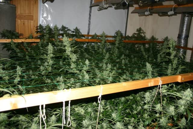 Just one of the cannabis farms in Notts that police have raided this year