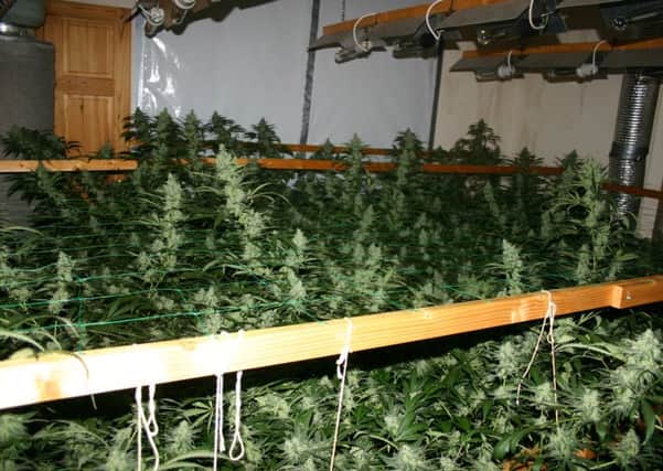 Just one of the cannabis farms in Notts that police have raided this year