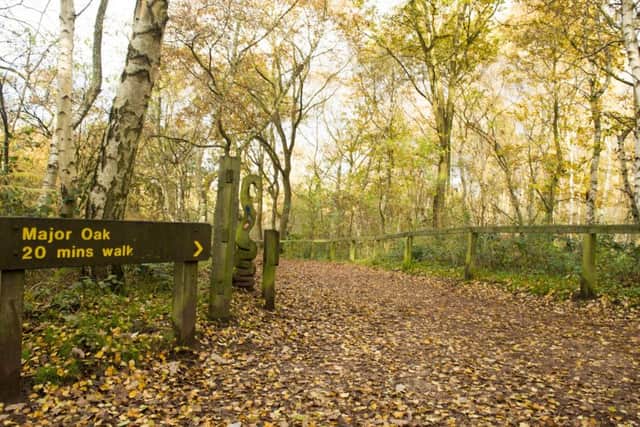 The sixteen-year-old boy was jogging through Sherwood Forest when the incident took place