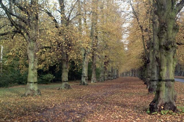 Clumber Park