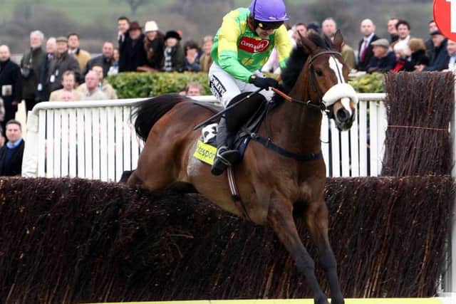 STAR QUALITY -- Kauto Star, ridden by Ruby Walsh, jumps the last en route to victory in the 2009 Totesport Cheltenham Gold Cup (PHOTO BY: David Jones/PA Wire).